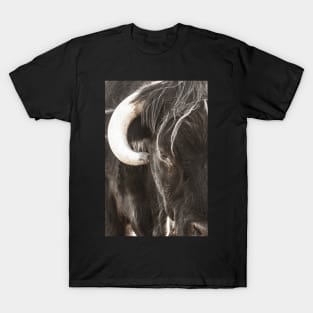 Bulls head T-Shirt